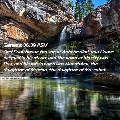 Picture 02 - Genesis 36:39 ASV - And Baal-hanan the son of Achbor died, and Hadar - Bible Verse Picture