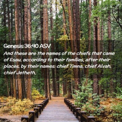 Picture 02 - Genesis 36:40 ASV - And these are the names of the chiefs that came - Bible Verse Picture