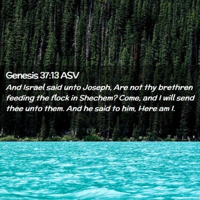 Picture 02 - Genesis 37:13 ASV - And Israel said unto Joseph, Are not thy brethren - Bible Verse Picture