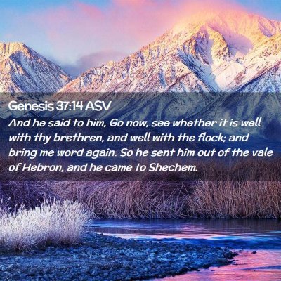 Picture 02 - Genesis 37:14 ASV - And he said to him, Go now, see whether it is - Bible Verse Picture