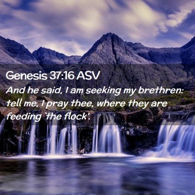 Picture 02 - Genesis 37:16 ASV - And he said, I am seeking my brethren: tell me, I - Bible Verse Picture