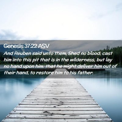 Picture 02 - Genesis 37:22 ASV - And Reuben said unto them, Shed no blood; cast - Bible Verse Picture