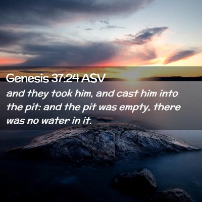 Picture 02 - Genesis 37:24 ASV - and they took him, and cast him into the pit: and - Bible Verse Picture