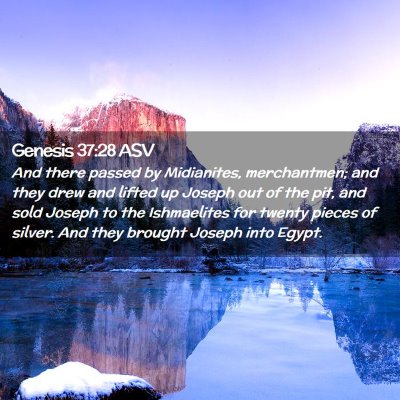 Picture 02 - Genesis 37:28 ASV - And there passed by Midianites, merchantmen; and - Bible Verse Picture