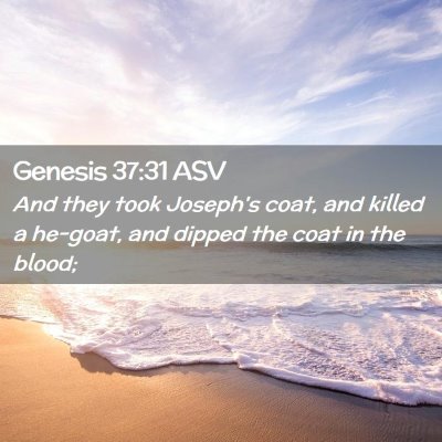 Picture 02 - Genesis 37:31 ASV - And they took Joseph's coat, and killed a - Bible Verse Picture