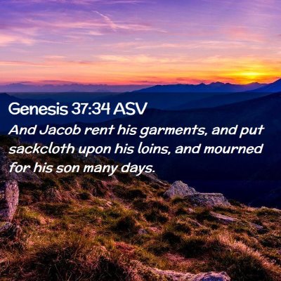 Picture 02 - Genesis 37:34 ASV - And Jacob rent his garments, and put sackcloth - Bible Verse Picture