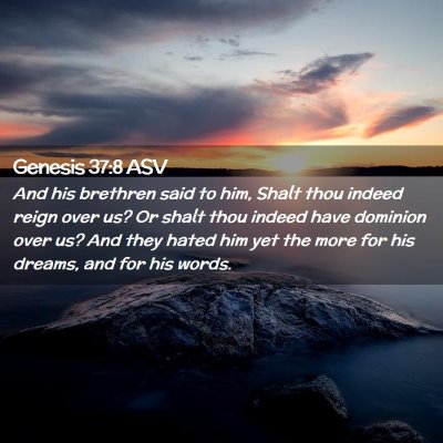 Picture 02 - Genesis 37:8 ASV - And his brethren said to him, Shalt thou indeed - Bible Verse Picture