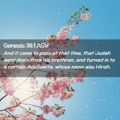 Picture 02 - Genesis 38:1 ASV - And it came to pass at that time, that Judah went - Bible Verse Picture