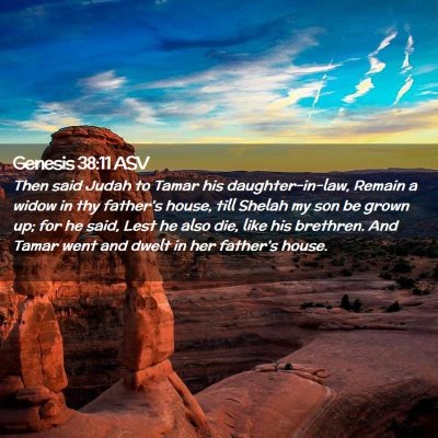 Picture 02 - Genesis 38:11 ASV - Then said Judah to Tamar his daughter-in-law, - Bible Verse Picture
