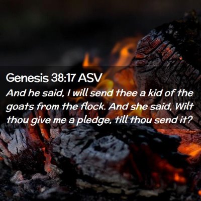 Picture 02 - Genesis 38:17 ASV - And he said, I will send thee a kid of the goats - Bible Verse Picture