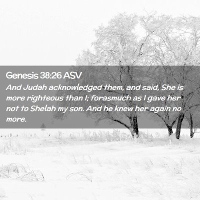 Picture 02 - Genesis 38:26 ASV - And Judah acknowledged them, and said, She is - Bible Verse Picture