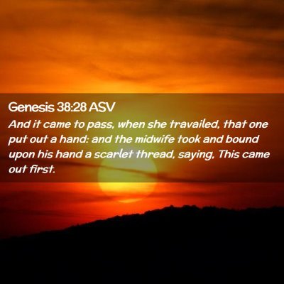 Picture 02 - Genesis 38:28 ASV - And it came to pass, when she travailed, that one - Bible Verse Picture