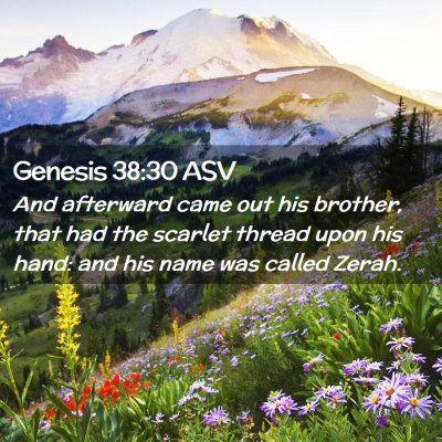 Picture 02 - Genesis 38:30 ASV - And afterward came out his brother, that had the - Bible Verse Picture