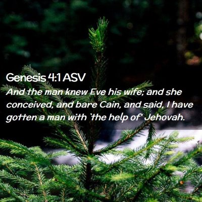 Picture 02 - Genesis 4:1 ASV - And the man knew Eve his wife; and she conceived, - Bible Verse Picture