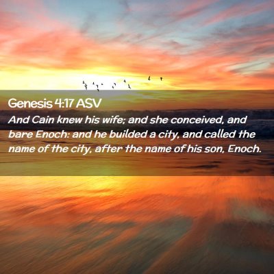 Picture 02 - Genesis 4:17 ASV - And Cain knew his wife; and she conceived, and - Bible Verse Picture