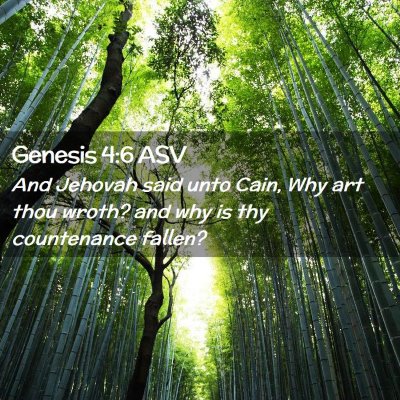 Picture 02 - Genesis 4:6 ASV - And Jehovah said unto Cain, Why art thou wroth? - Bible Verse Picture