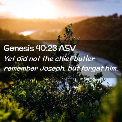 Picture 02 - Genesis 40:23 ASV - Yet did not the chief butler remember Joseph, but - Bible Verse Picture
