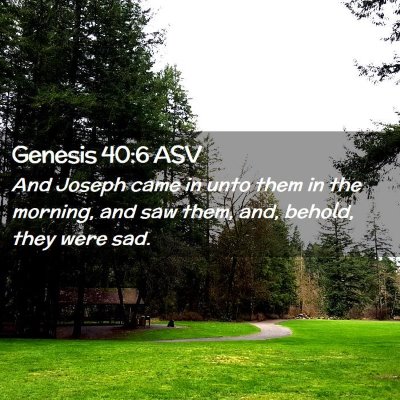 Picture 02 - Genesis 40:6 ASV - And Joseph came in unto them in the morning, and - Bible Verse Picture