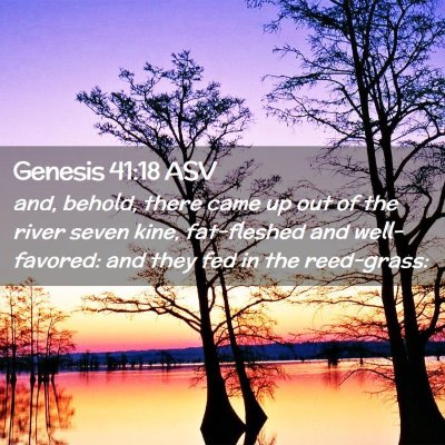 Picture 02 - Genesis 41:18 ASV - and, behold, there came up out of the river seven - Bible Verse Picture