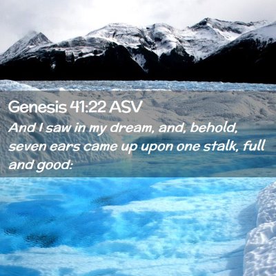Picture 02 - Genesis 41:22 ASV - And I saw in my dream, and, behold, seven ears - Bible Verse Picture