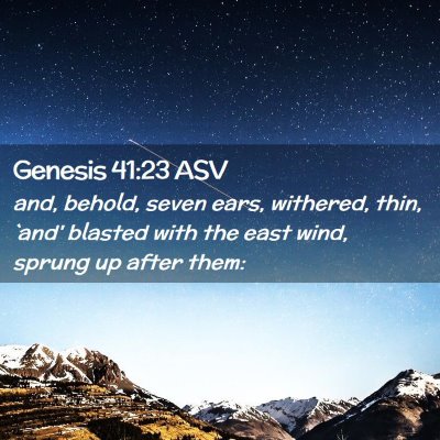 Picture 02 - Genesis 41:23 ASV - and, behold, seven ears, withered, thin, `and' - Bible Verse Picture