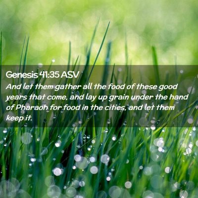 Picture 02 - Genesis 41:35 ASV - And let them gather all the food of these good - Bible Verse Picture