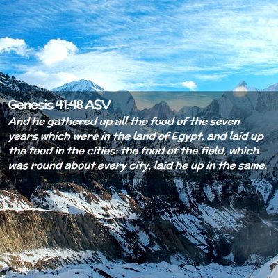 Picture 02 - Genesis 41:48 ASV - And he gathered up all the food of the seven - Bible Verse Picture
