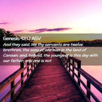 Picture 02 - Genesis 42:13 ASV - And they said, We thy servants are twelve - Bible Verse Picture