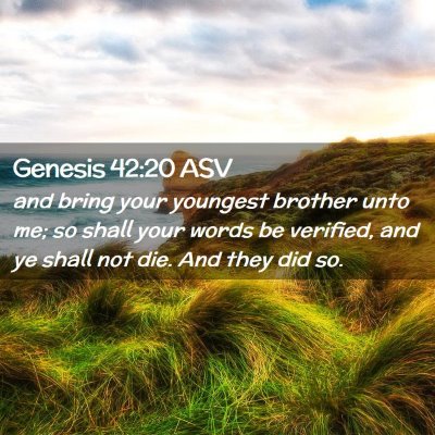 Picture 02 - Genesis 42:20 ASV - and bring your youngest brother unto me; so shall - Bible Verse Picture