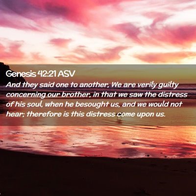 Picture 02 - Genesis 42:21 ASV - And they said one to another, We are verily - Bible Verse Picture