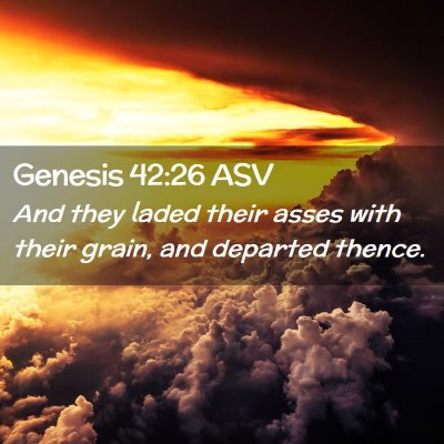 Picture 02 - Genesis 42:26 ASV - And they laded their asses with their grain, and - Bible Verse Picture