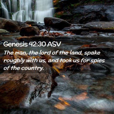 Picture 02 - Genesis 42:30 ASV - The man, the lord of the land, spake roughly with - Bible Verse Picture