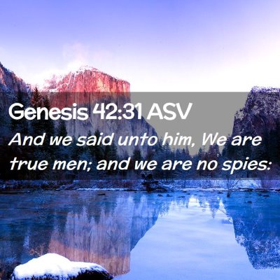 Picture 02 - Genesis 42:31 ASV - And we said unto him, We are true men; and we are - Bible Verse Picture