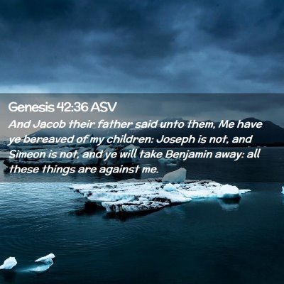 Picture 02 - Genesis 42:36 ASV - And Jacob their father said unto them, Me have ye - Bible Verse Picture