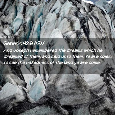 Picture 02 - Genesis 42:9 ASV - And Joseph remembered the dreams which he dreamed - Bible Verse Picture
