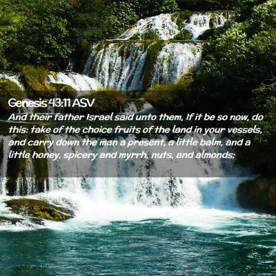 Picture 02 - Genesis 43:11 ASV - And their father Israel said unto them, If it be - Bible Verse Picture