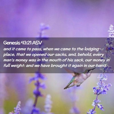 Picture 02 - Genesis 43:21 ASV - and it came to pass, when we came to the - Bible Verse Picture