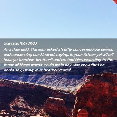 Picture 02 - Genesis 43:7 ASV - And they said, The man asked straitly concerning - Bible Verse Picture