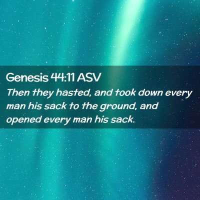 Picture 02 - Genesis 44:11 ASV - Then they hasted, and took down every man his - Bible Verse Picture