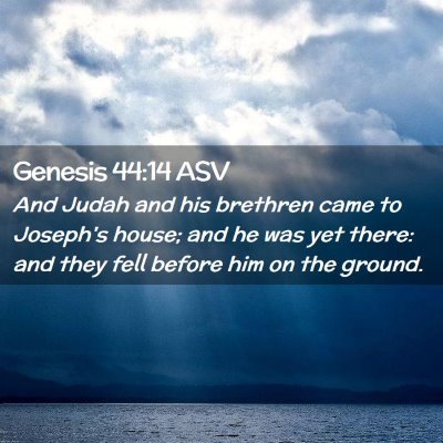 Picture 02 - Genesis 44:14 ASV - And Judah and his brethren came to Joseph's - Bible Verse Picture