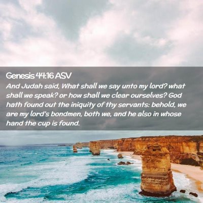 Picture 02 - Genesis 44:16 ASV - And Judah said, What shall we say unto my lord? - Bible Verse Picture