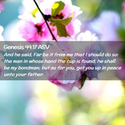 Picture 02 - Genesis 44:17 ASV - And he said, Far be it from me that I should do - Bible Verse Picture