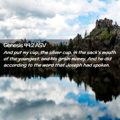 Picture 02 - Genesis 44:2 ASV - And put my cup, the silver cup, in the sack's - Bible Verse Picture