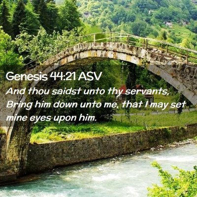 Picture 02 - Genesis 44:21 ASV - And thou saidst unto thy servants, Bring him down - Bible Verse Picture