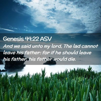 Picture 02 - Genesis 44:22 ASV - And we said unto my lord, The lad cannot leave - Bible Verse Picture