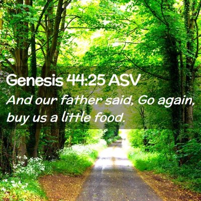 Picture 02 - Genesis 44:25 ASV - And our father said, Go again, buy us a little - Bible Verse Picture