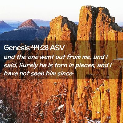 Picture 02 - Genesis 44:28 ASV - and the one went out from me, and I said, Surely - Bible Verse Picture