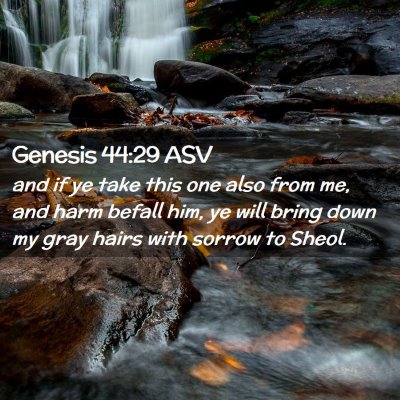 Picture 02 - Genesis 44:29 ASV - and if ye take this one also from me, and harm - Bible Verse Picture