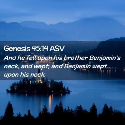 Picture 02 - Genesis 45:14 ASV - And he fell upon his brother Benjamin's neck, and - Bible Verse Picture