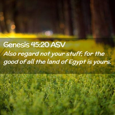Picture 02 - Genesis 45:20 ASV - Also regard not your stuff; for the good of all - Bible Verse Picture